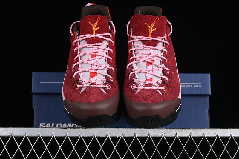 X ALPAGES GTX FOR TBA