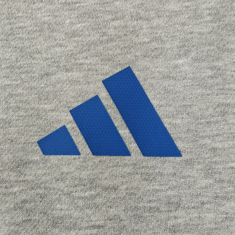 24-25 Italy Gray Hoodie