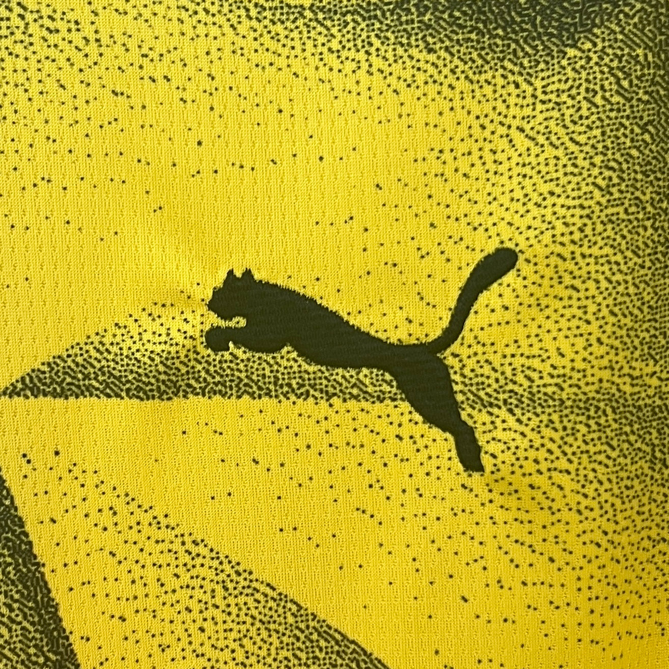 23-24 Dortmund third away Fan Version jersey tm