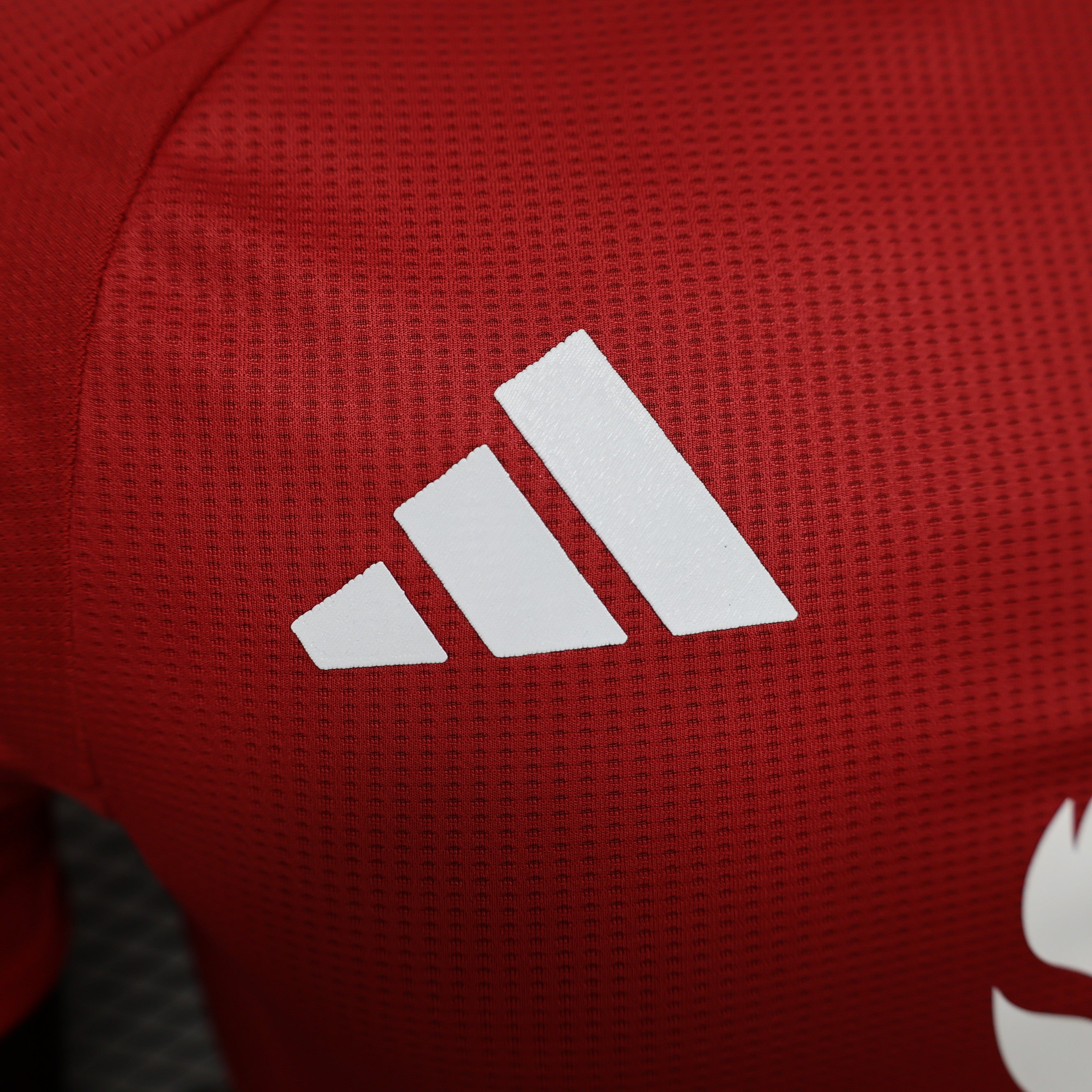 24-25 MANCHESTER UNITED red player version tm