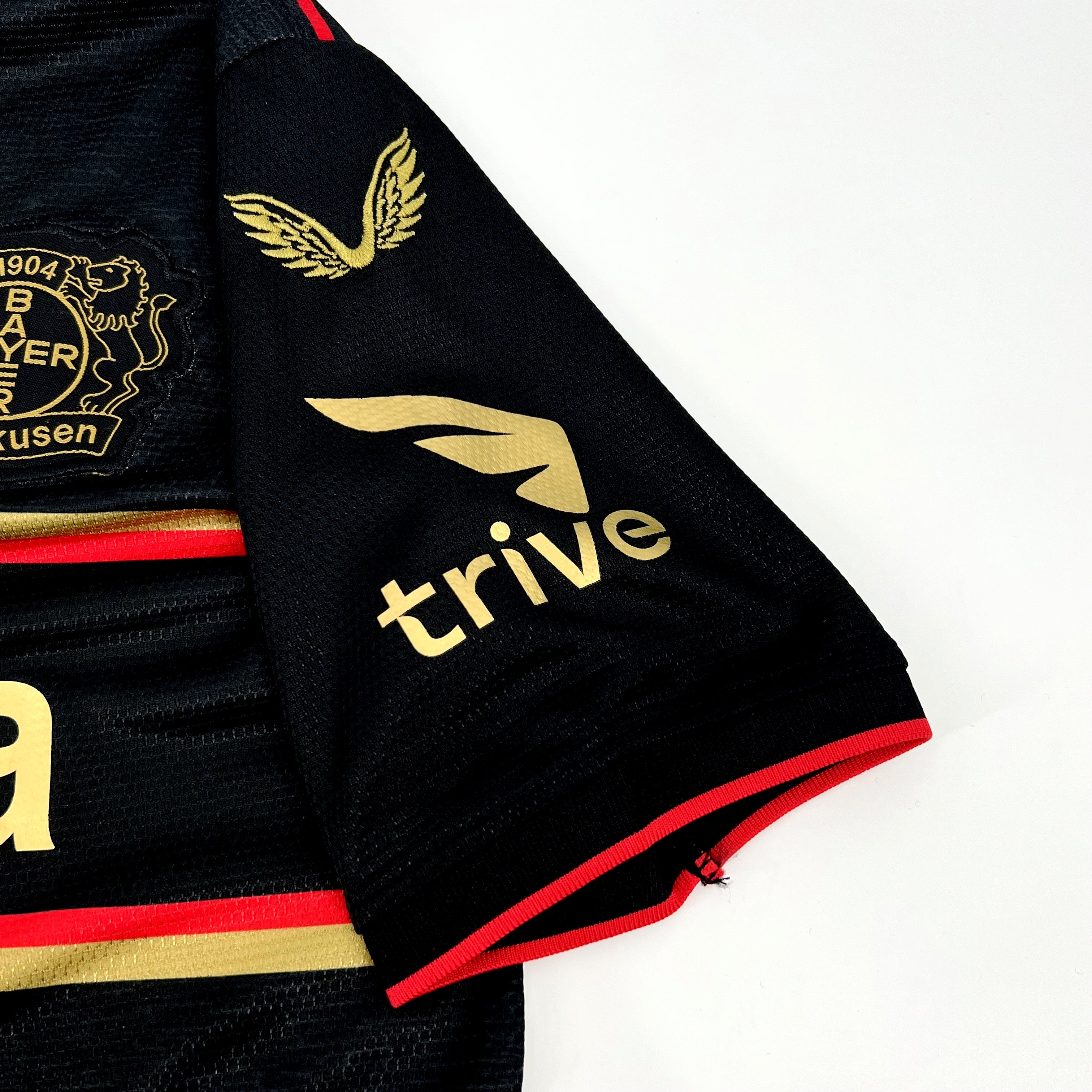 24-25 Leverkusen Champion Edition soccer jersey Fan Version tm