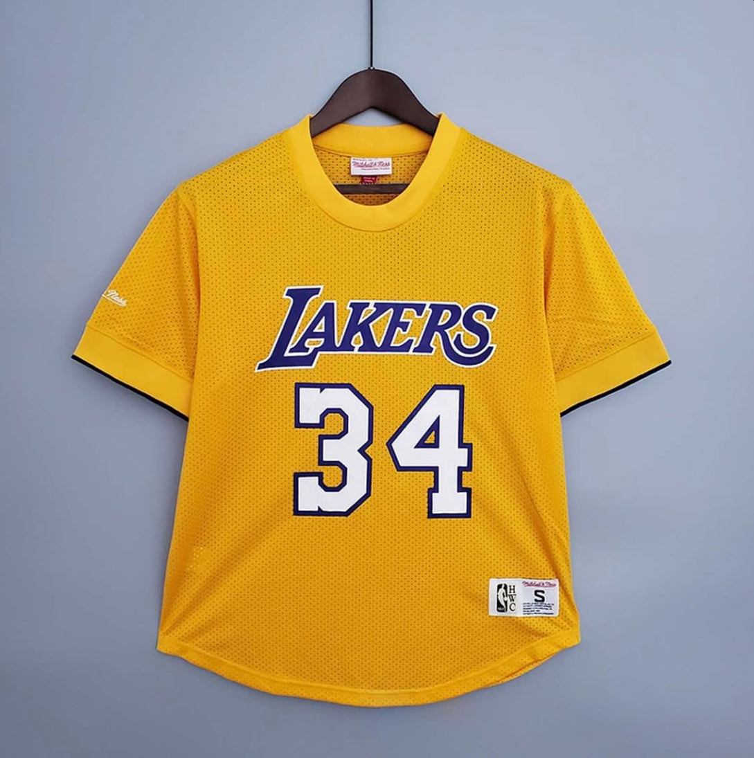 Mitchellness Lakers retro mech tm