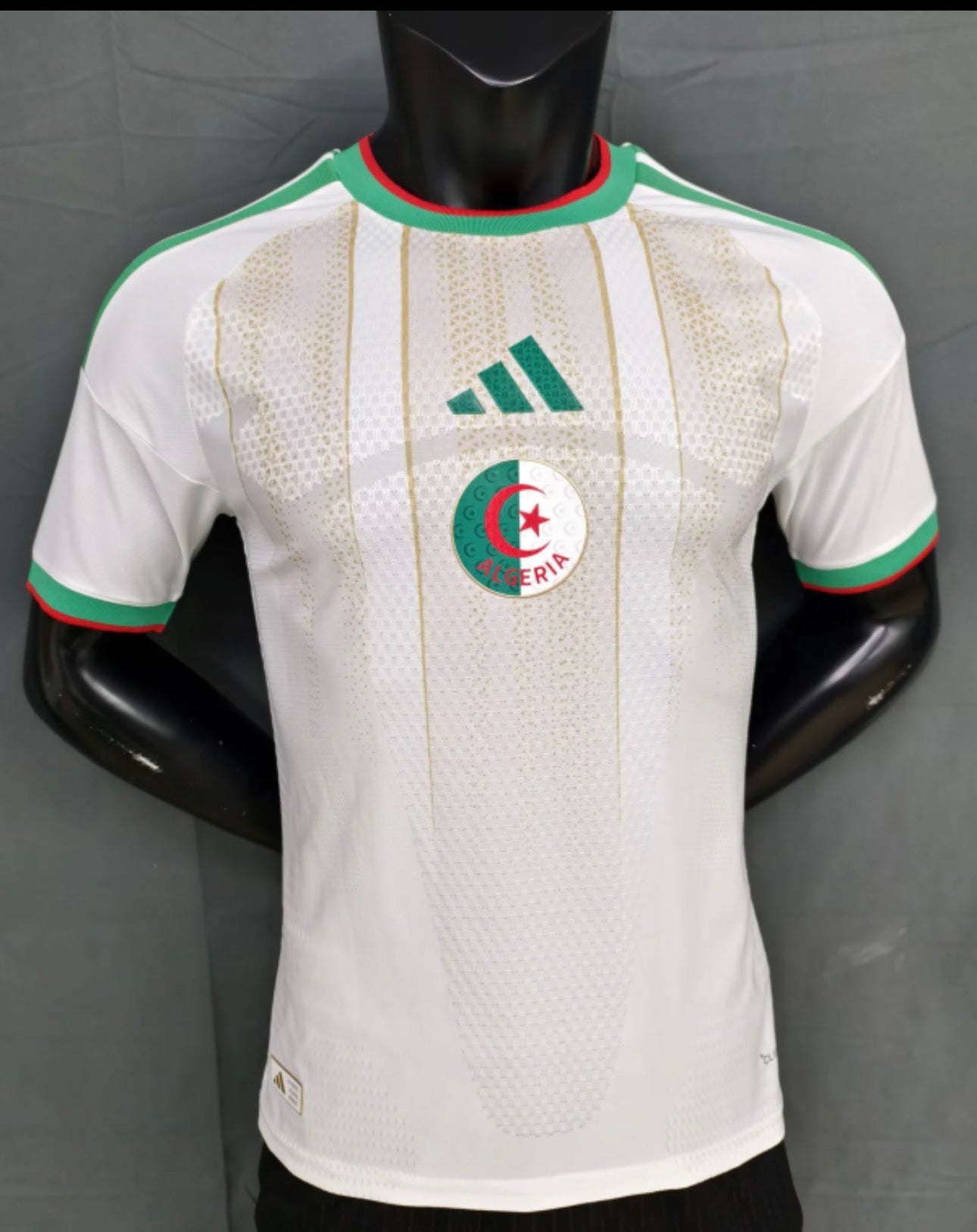 Algeria 2026 Home player version