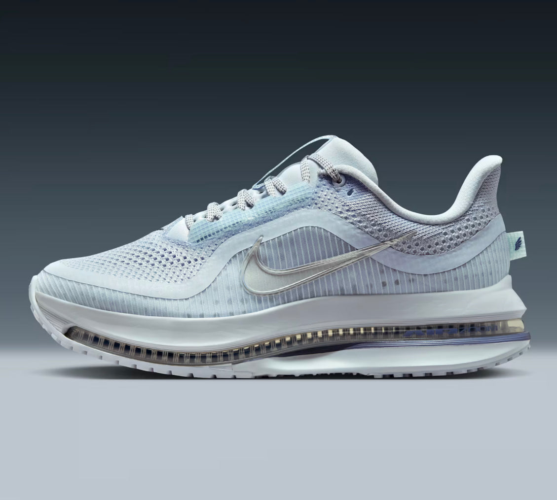 Nike pegasus premium