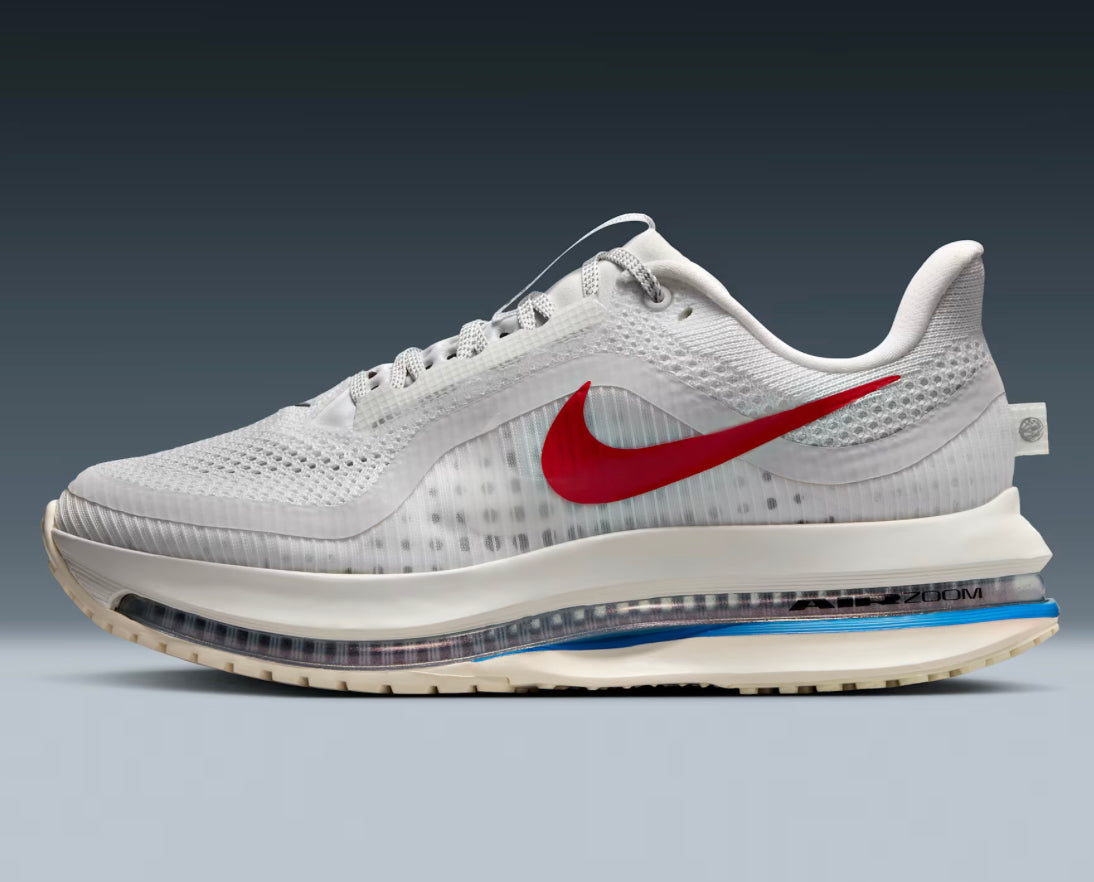 Nike pegasus premium