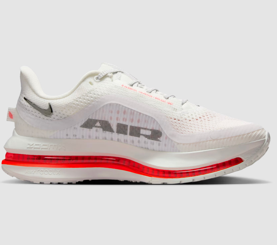 Nike pegasus premium