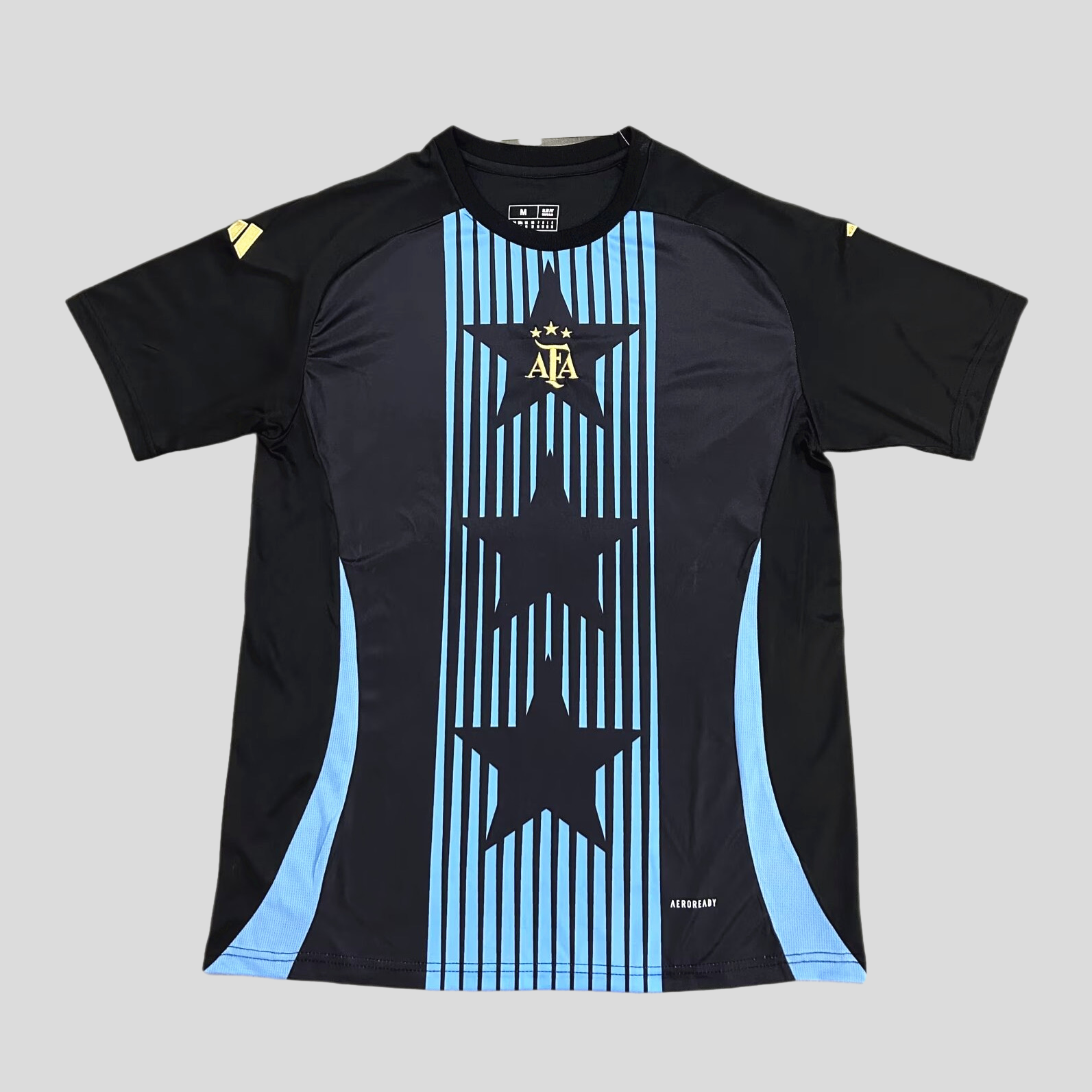 Argentine Pre-Match fan  Training Jersey 24-25 tm