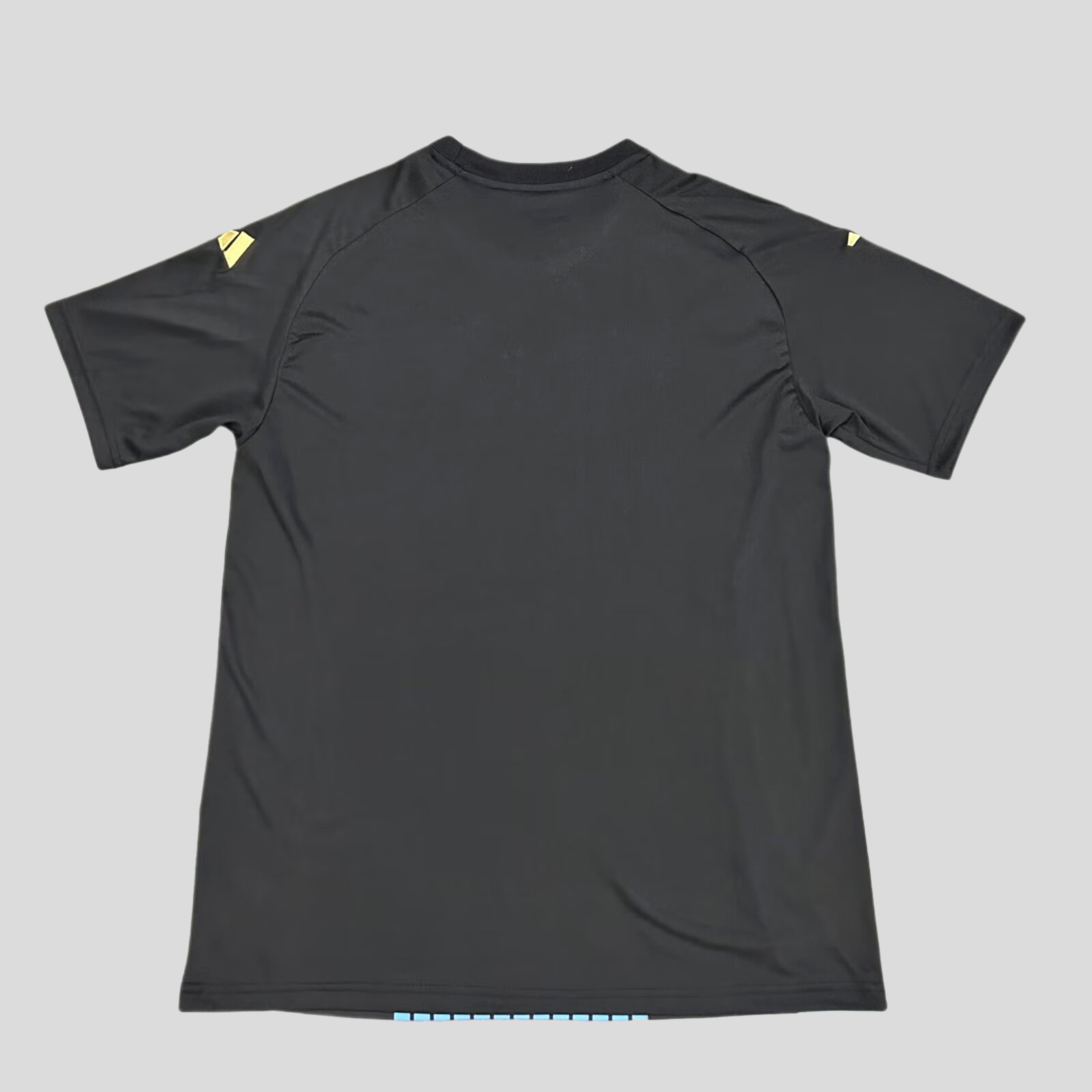 Argentine Pre-Match fan  Training Jersey 24-25 tm