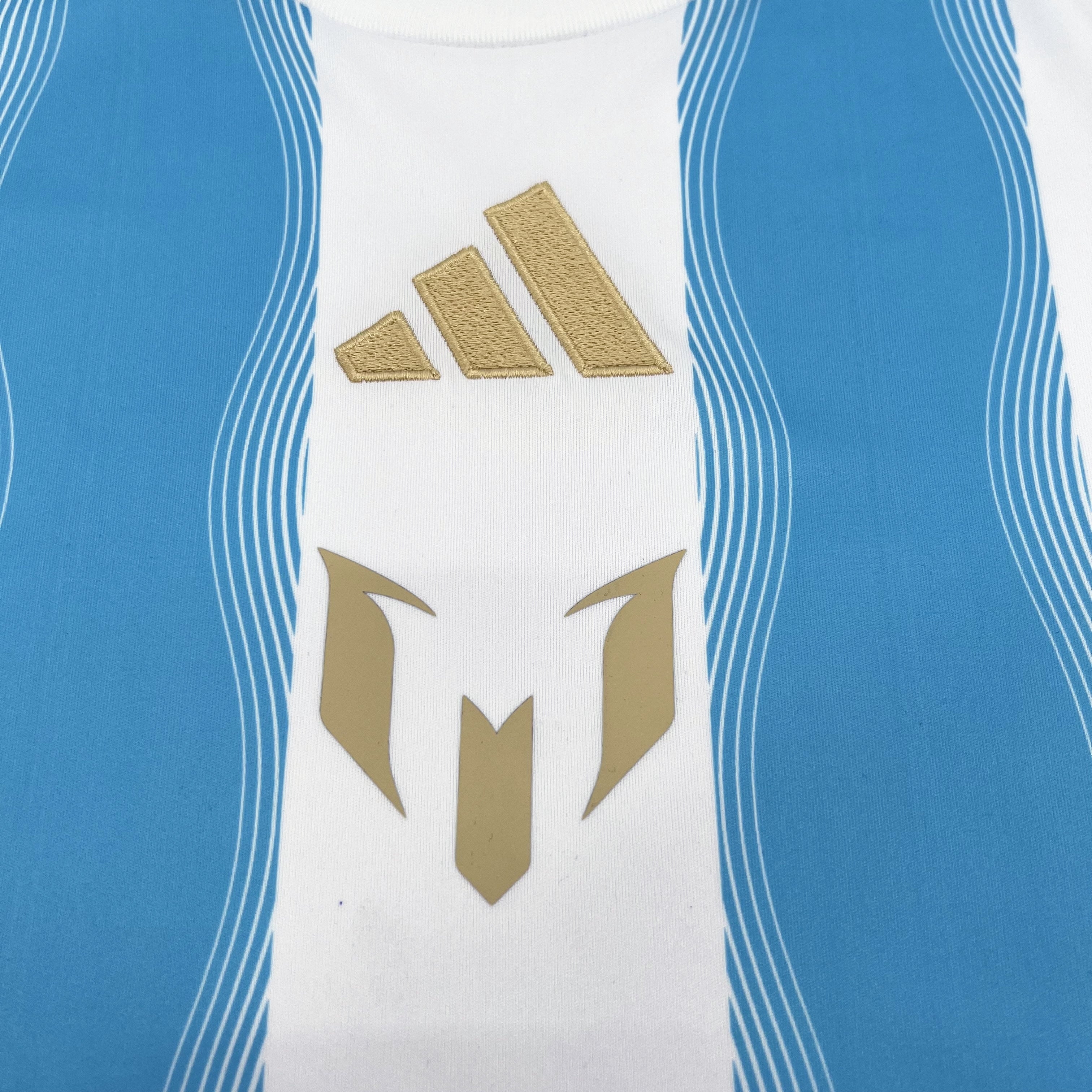 Argentina fan blue and white training jersey 24-25 tm