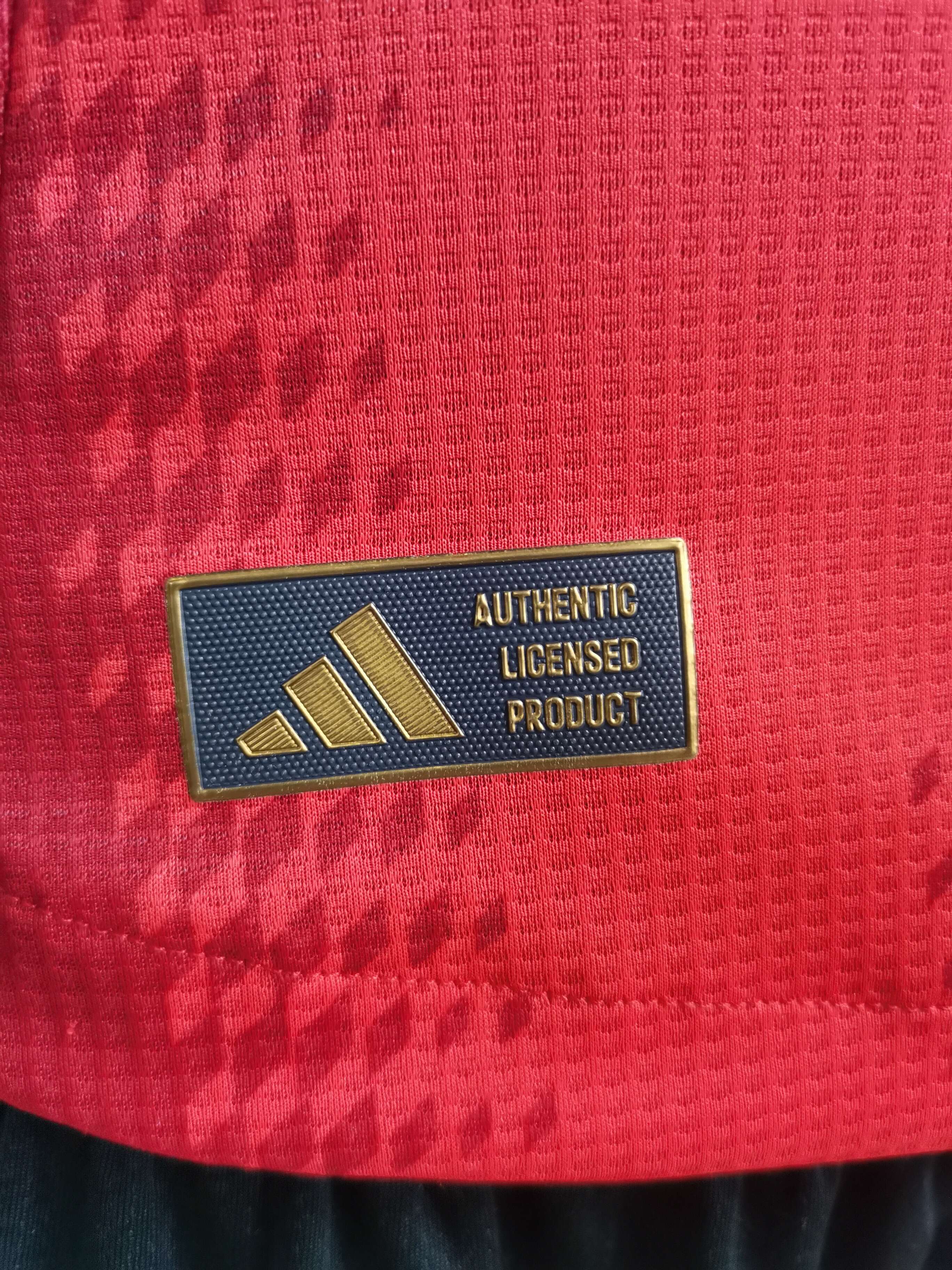 Bayern red player version jersey 2024/2025 tm