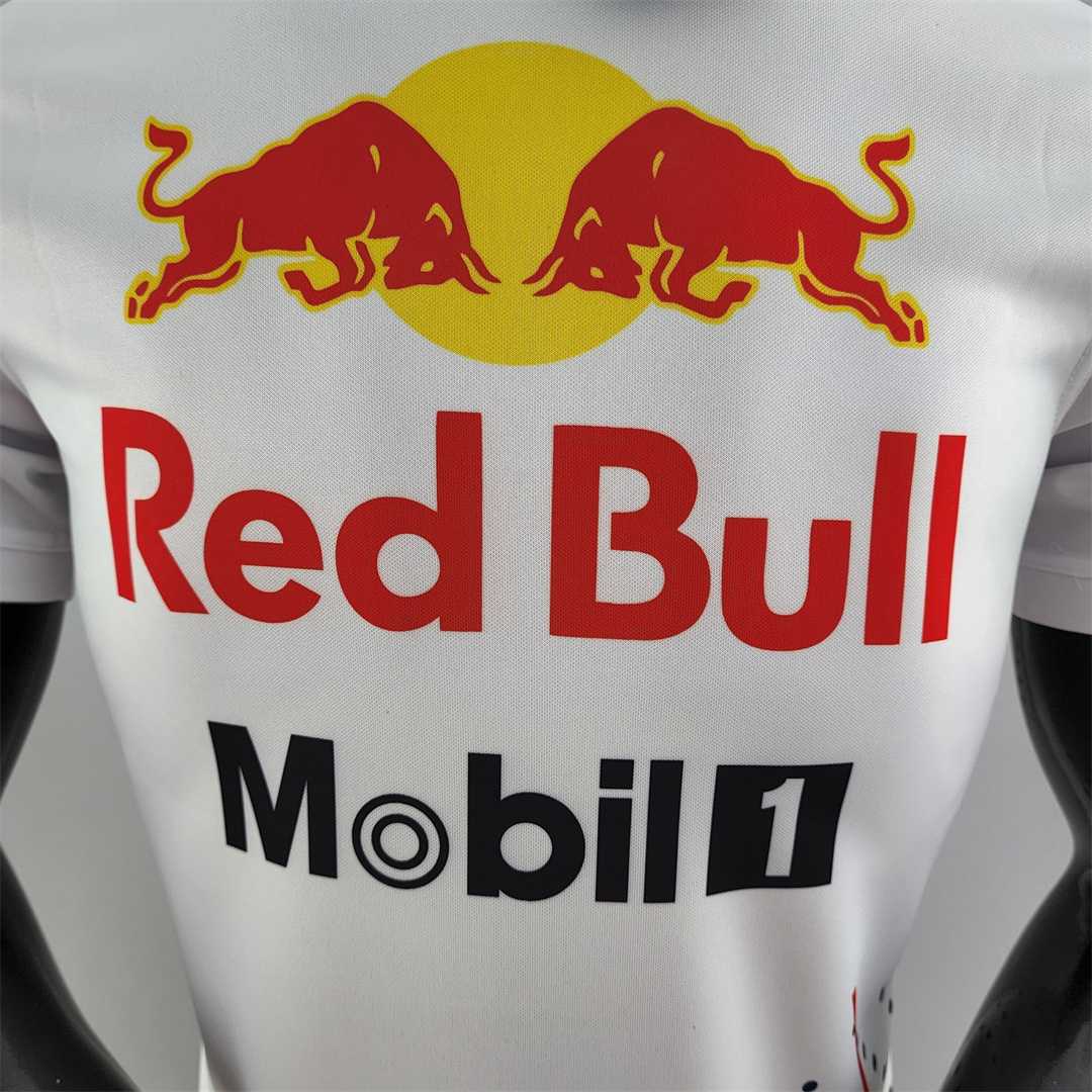 2022 F1(RED BULL)