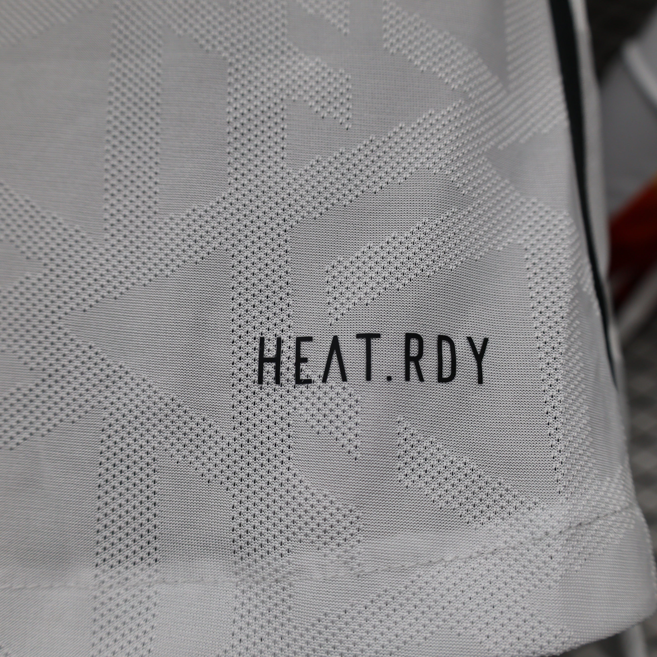 2024 Germany home long sleeve player version jersey tm