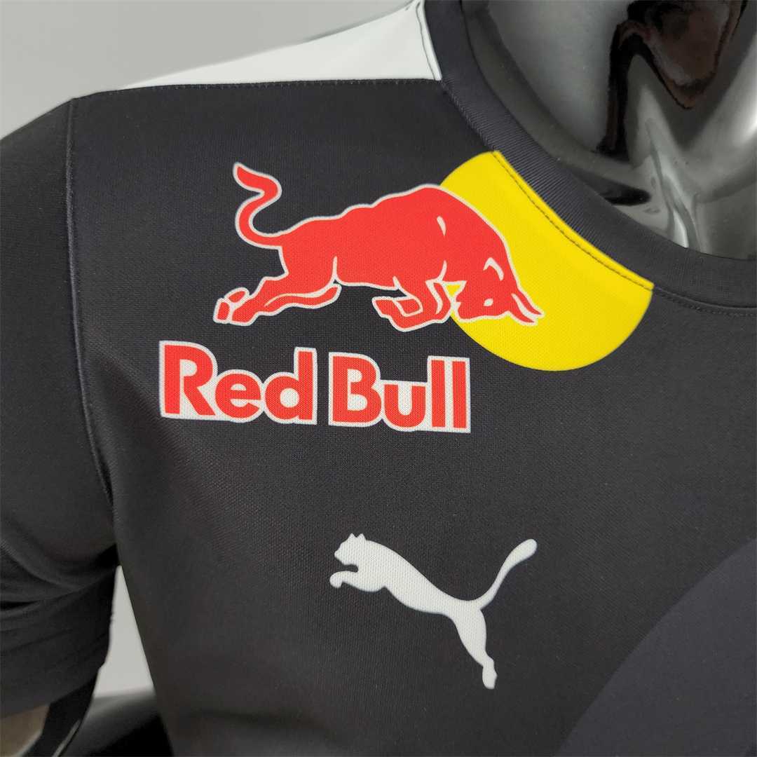 2022 F1 (REDBULL)