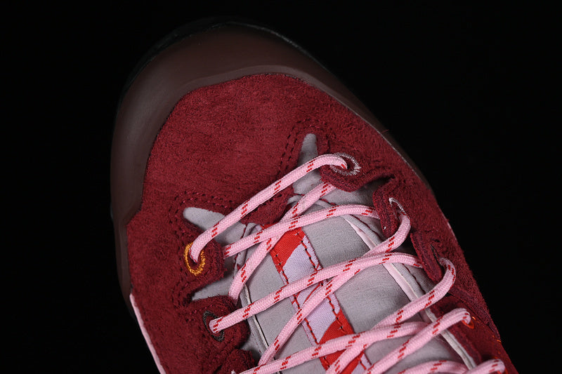 X ALPAGES GTX FOR TBA