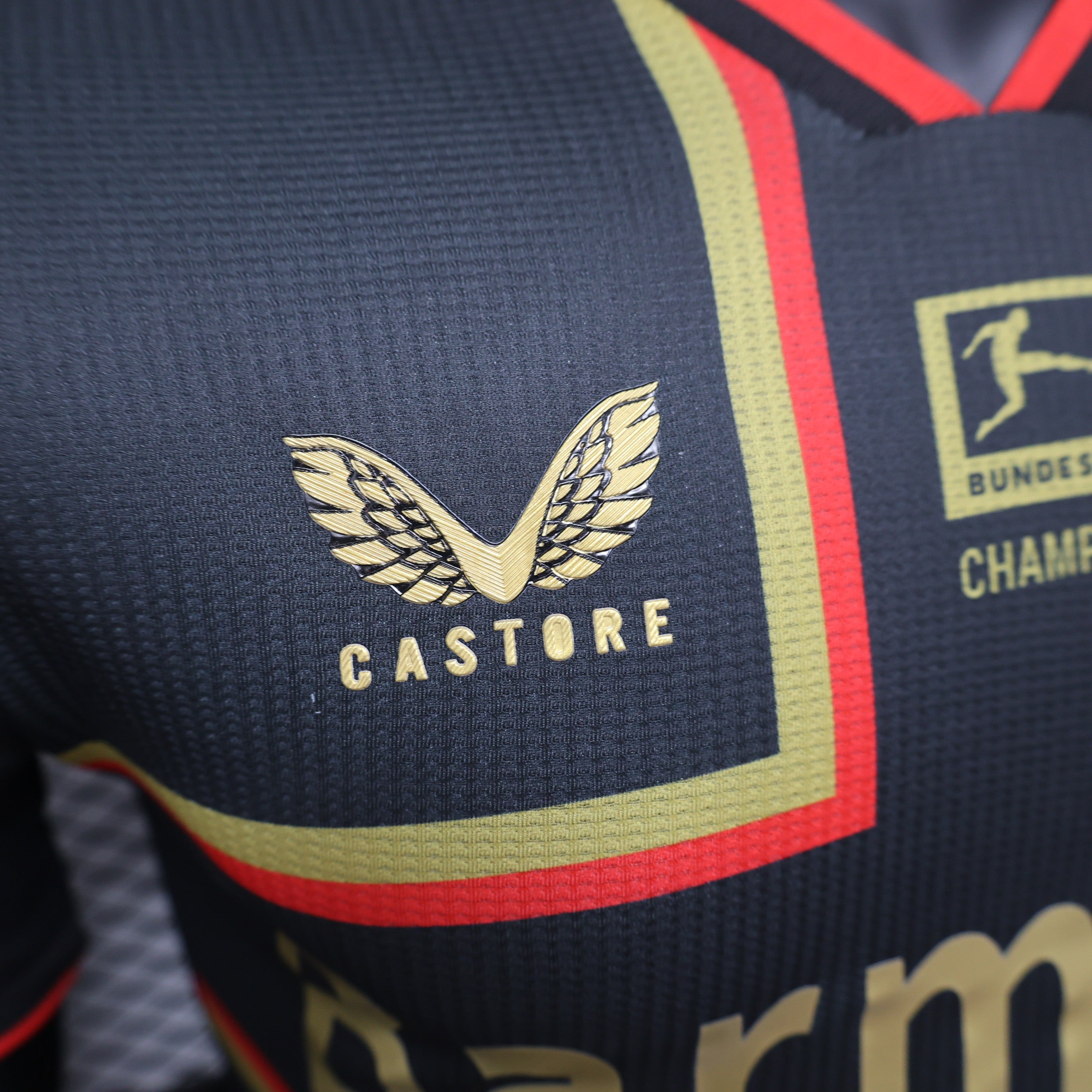 24-25 Leverkusen Champions Edition player version tm