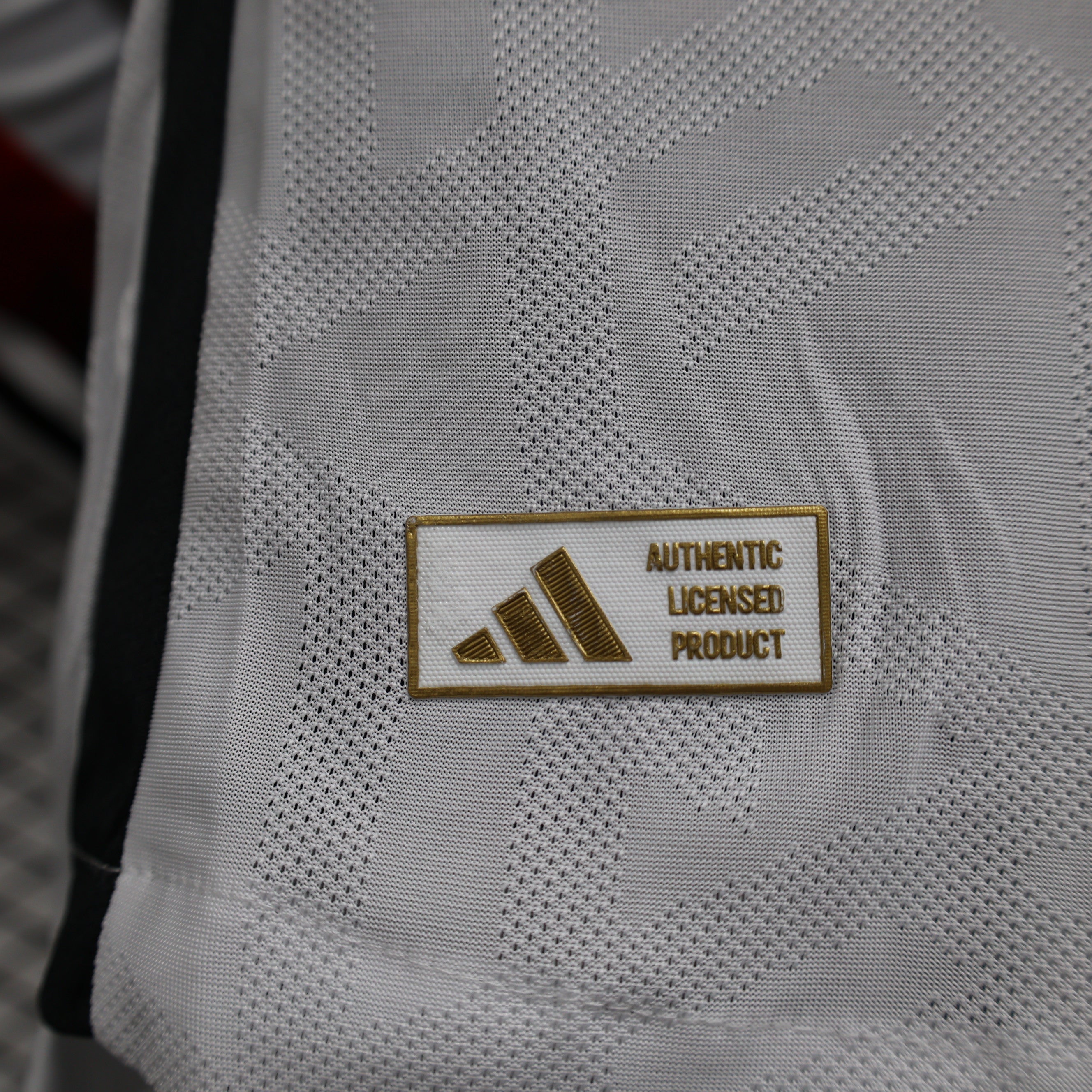 2024 Germany home long sleeve player version jersey tm