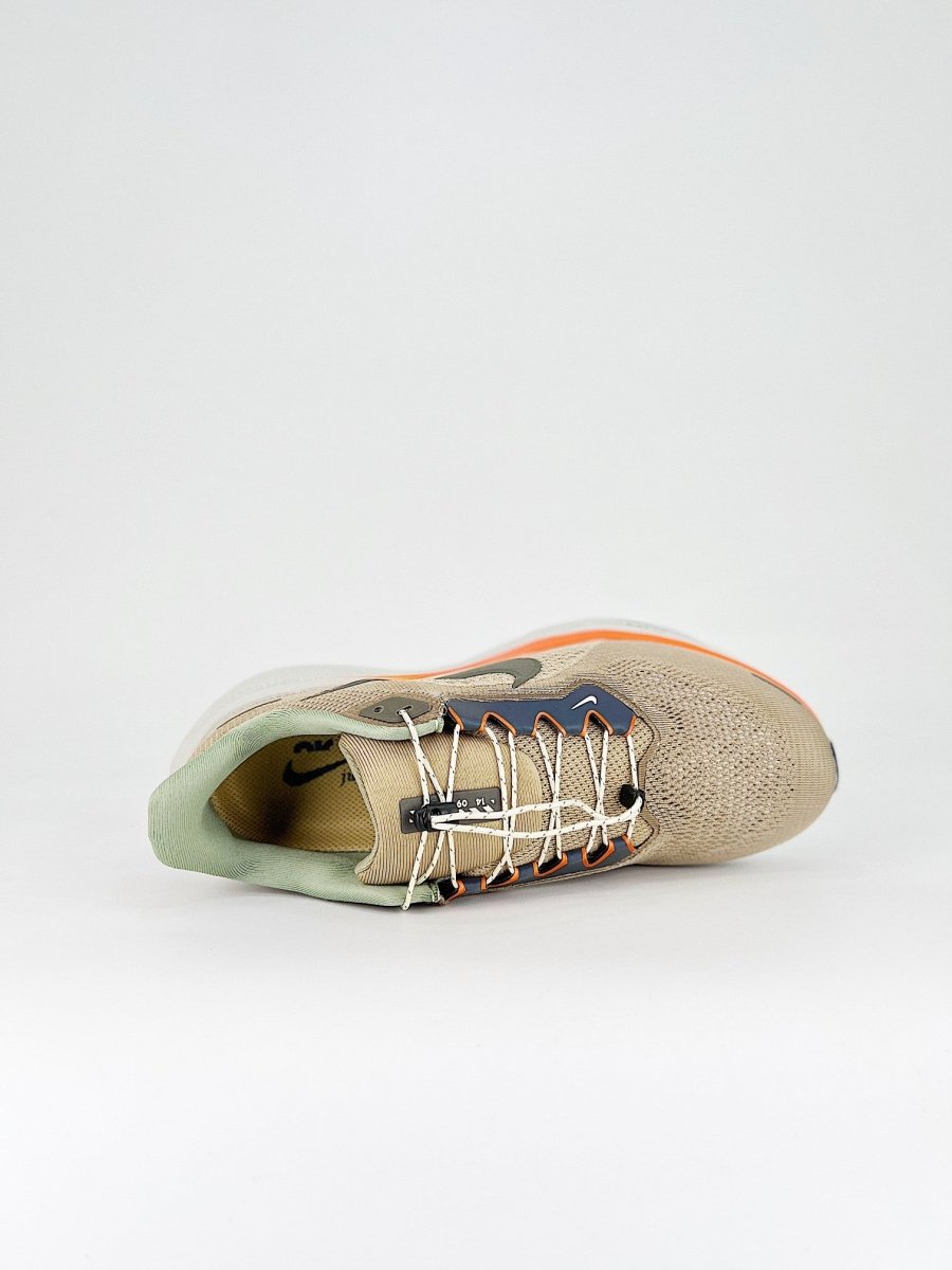 Nike Air Zoom Pegasus 41 - Royal Feet 2025