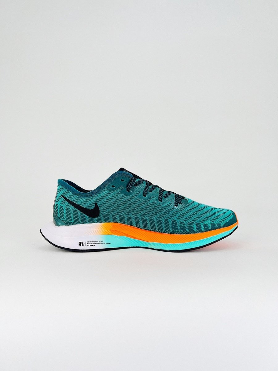 Nike Zoom Pegasus Turbo 2 - Royal Feet 2025