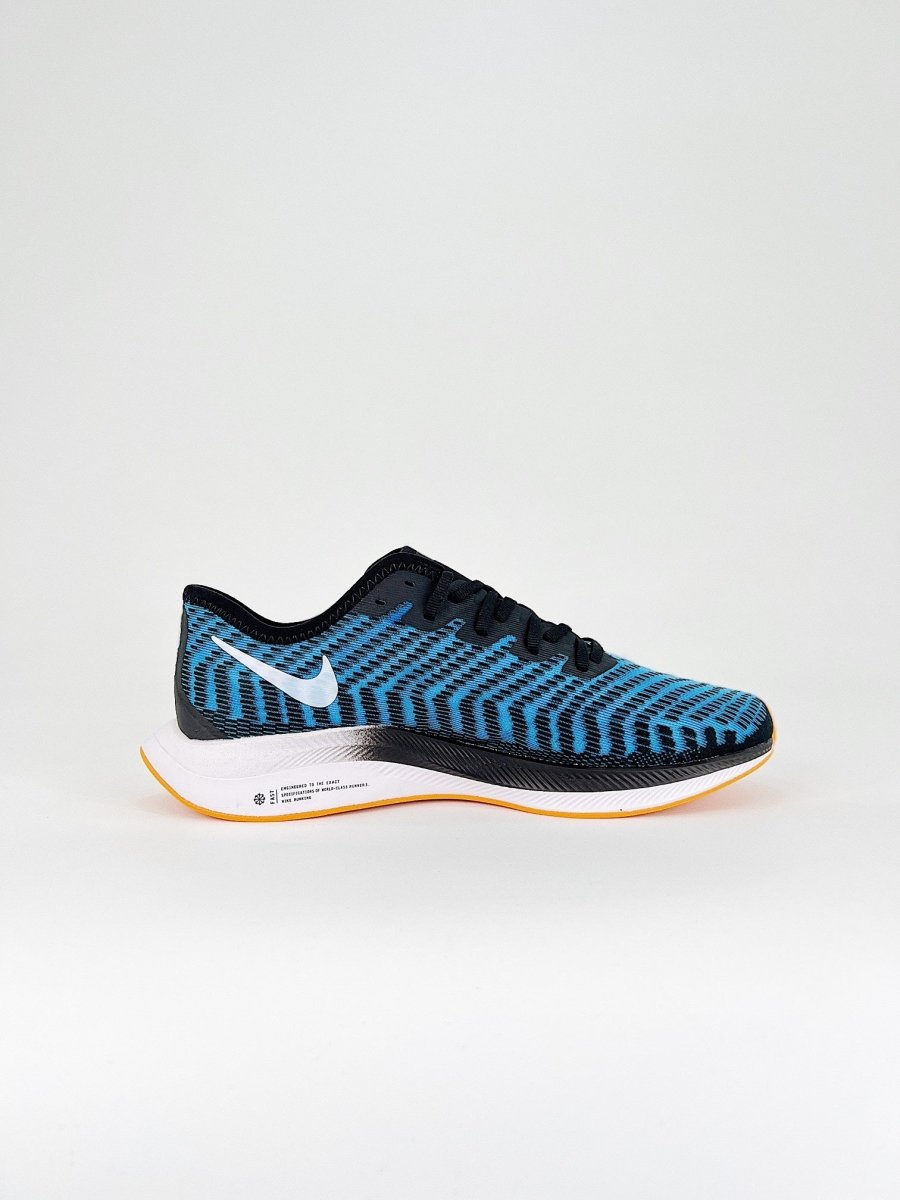 Nike Zoom Pegasus Turbo 2 - Royal Feet 2025