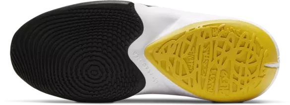 NIKE GIANNIS ZOOM FREAK 2 BBS