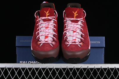 X ALPAGES GTX FOR TBA