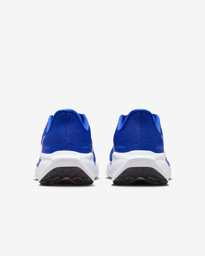 Nike Pegasus 41