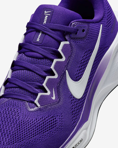 Nike Pegasus 41