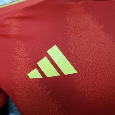 2024 Spain home player version jersey tm