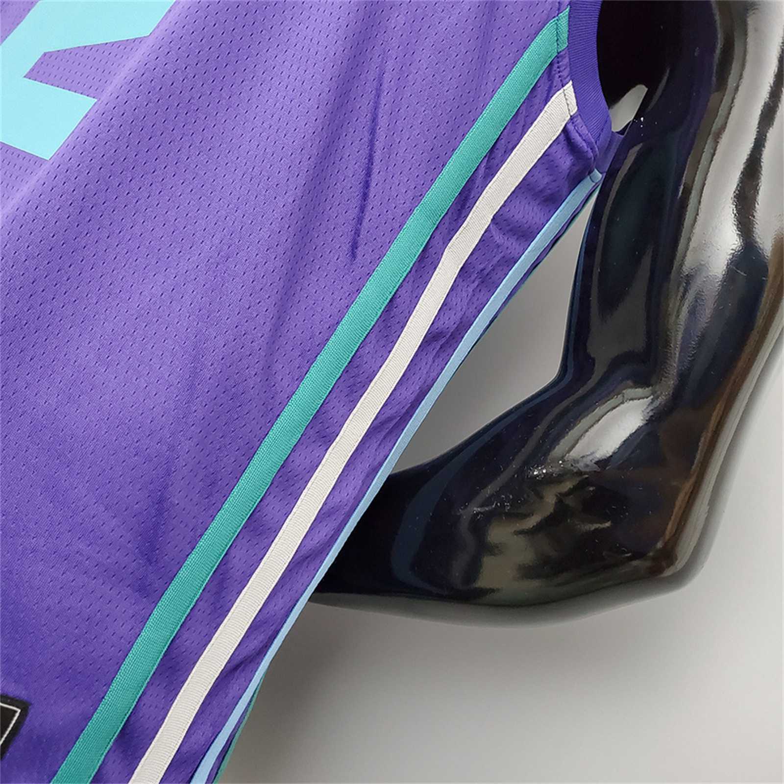 Hornets Ball#2 Purple
