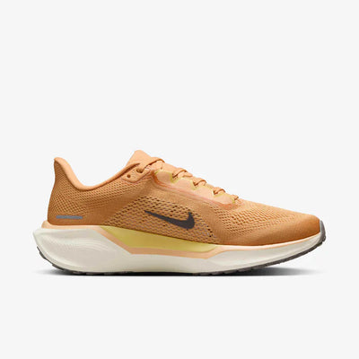 Nike Pegasus 41