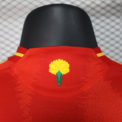 2024 Spain home player version jersey tm