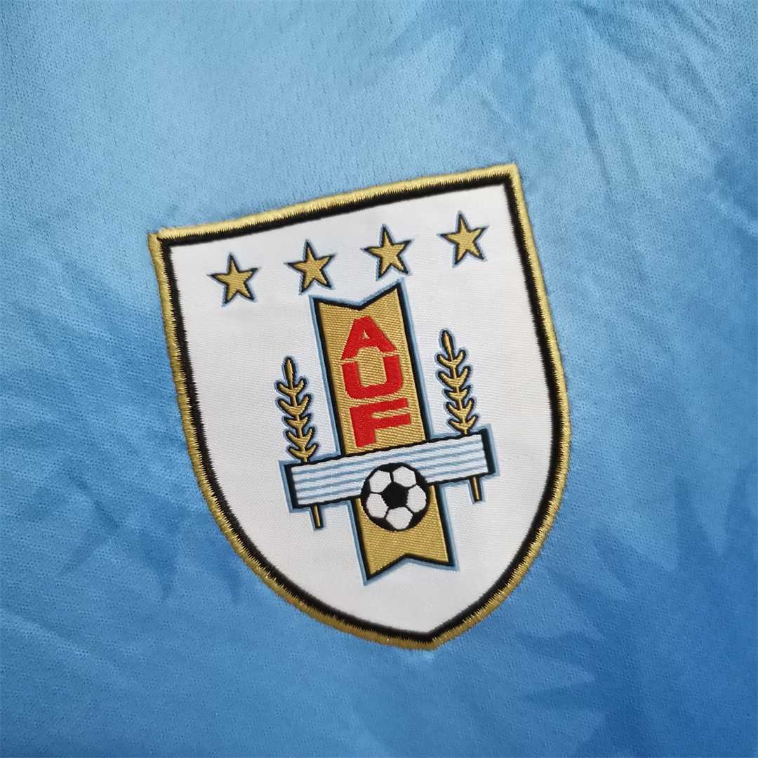 2010 Uruguay home