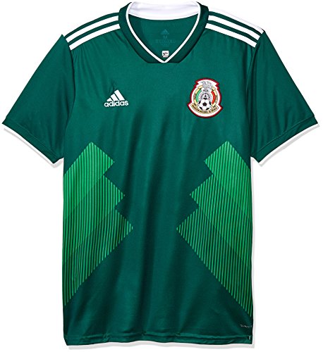 2018-2019 Mexico Home