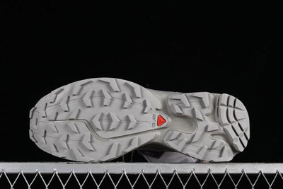 Salomon XT-6