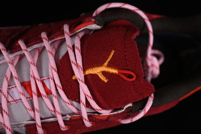 X ALPAGES GTX FOR TBA