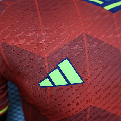 24-25 Spain special player version jersey tm