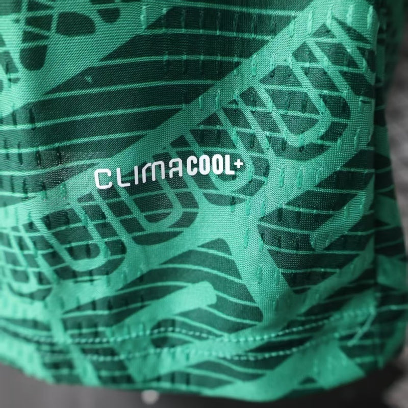 25-26 Mexico Home Player Version Jersey