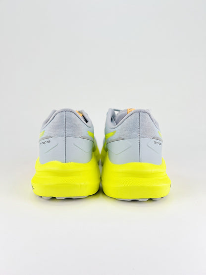 Asics GT-1000 13 GTX tm