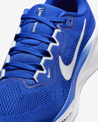 Nike Pegasus 41