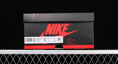 Nike Air Jordan 1 High