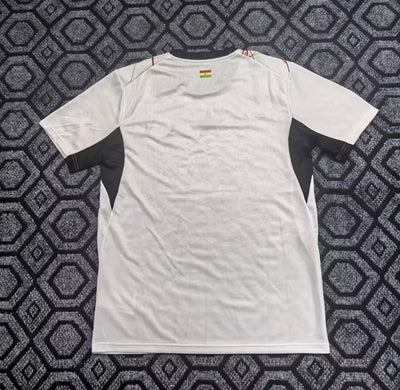 Ghana 2026 World Cup Home soccer jersey