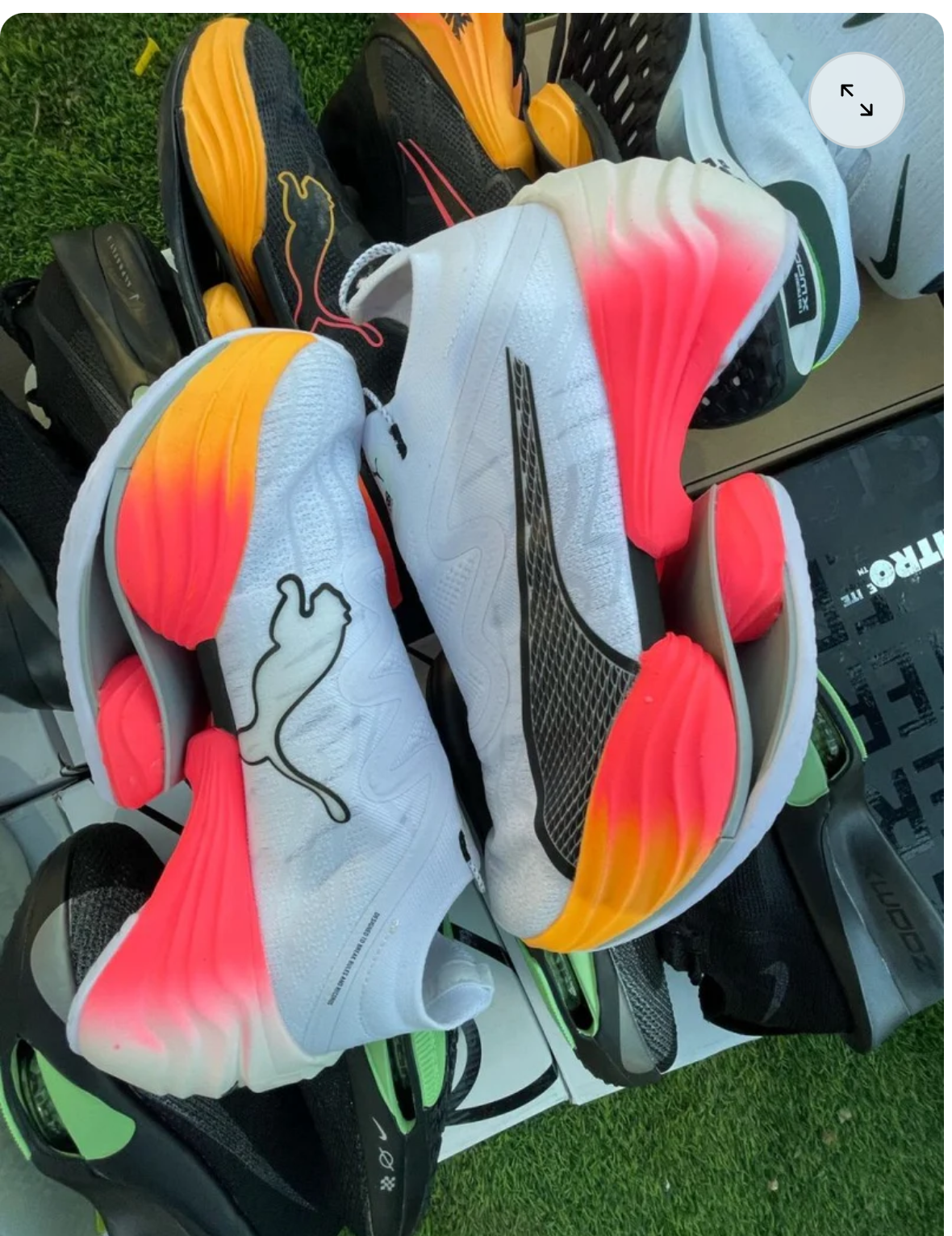 Puma nitro (Size: 42)