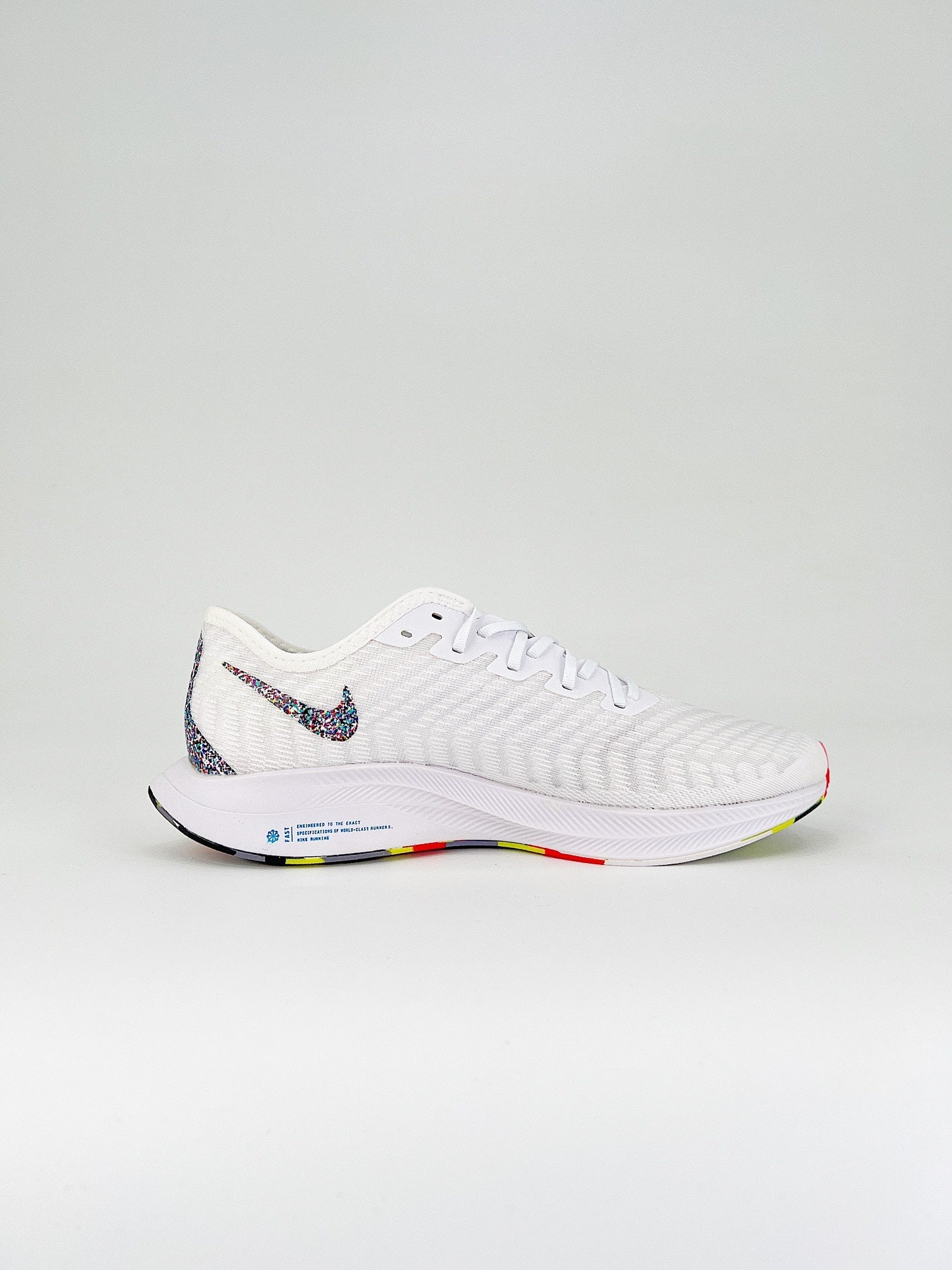 Nike pegasus turbo 2 TM