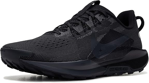 Nike pegasus (size 44) stock
