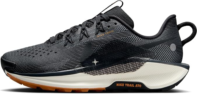 Nike Pegasus (size 46) stock