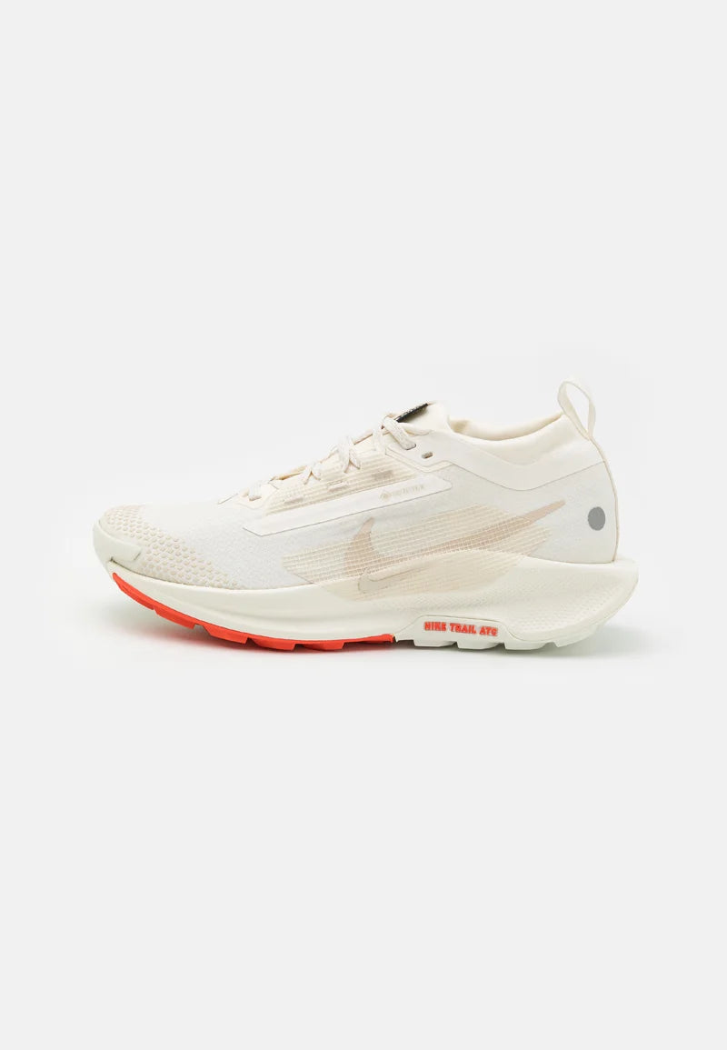Nike Pegasus trail 5 (size 42) stock