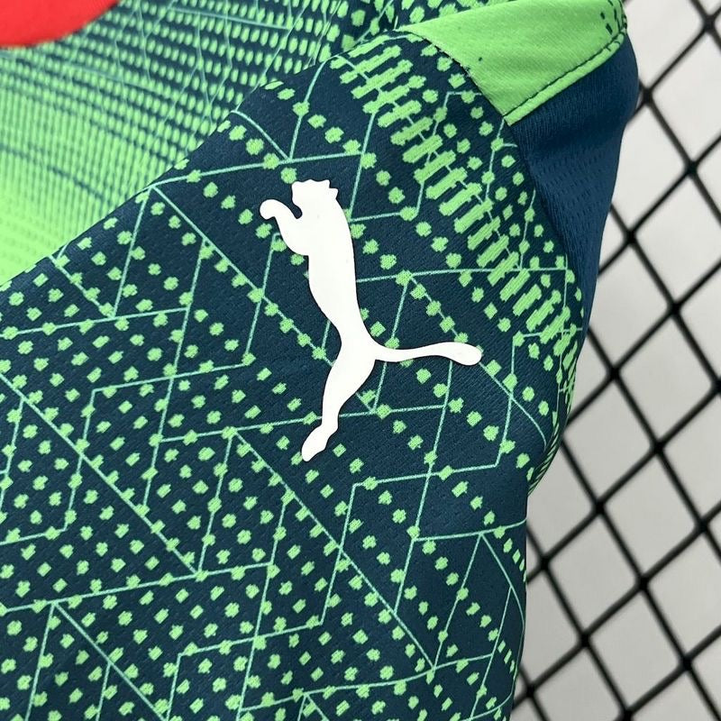 portugal green and blue special jersey 2025/2026 tm