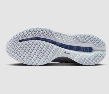 Nike pegasus premium