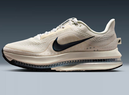 Nike pegasus premium