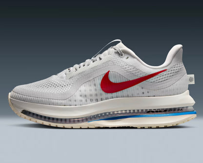 Nike pegasus premium